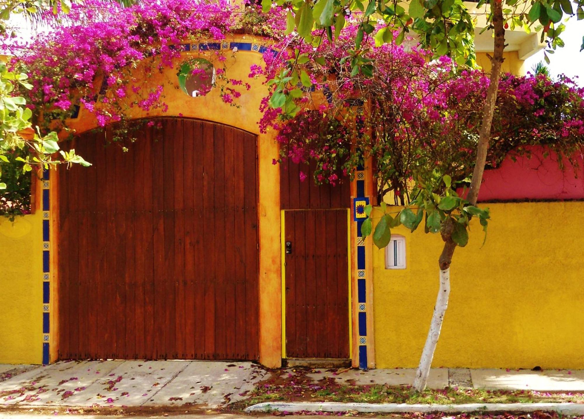 El Palmar Beach Tennis Resort San Patricio - Melaque Exterior foto